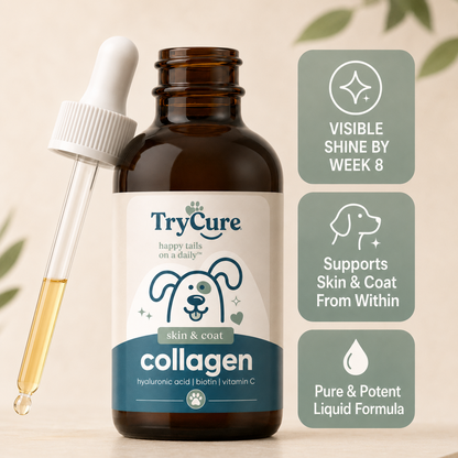 Liquid Collagen for Dogs
