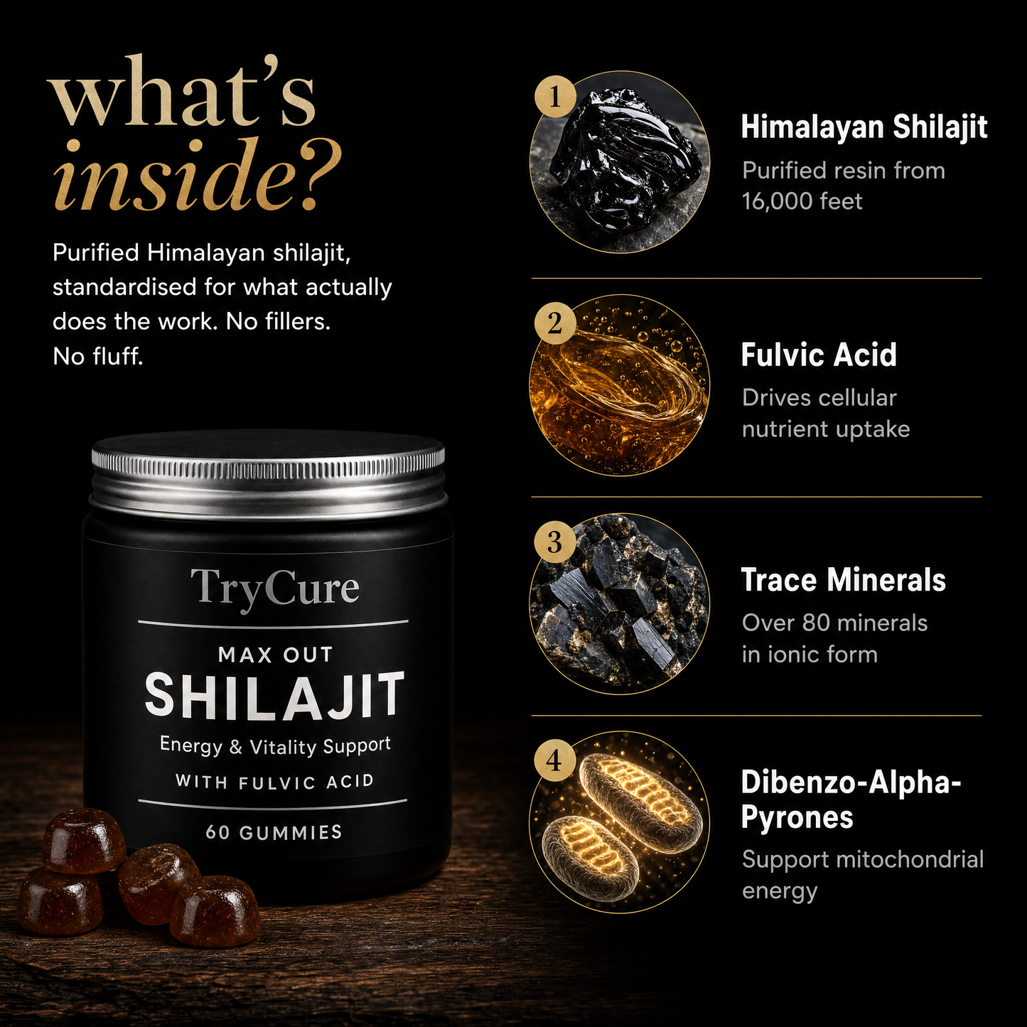 TryCure™ MAX OUT SHILAJIT