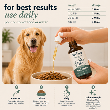 Liquid Collagen for Dogs