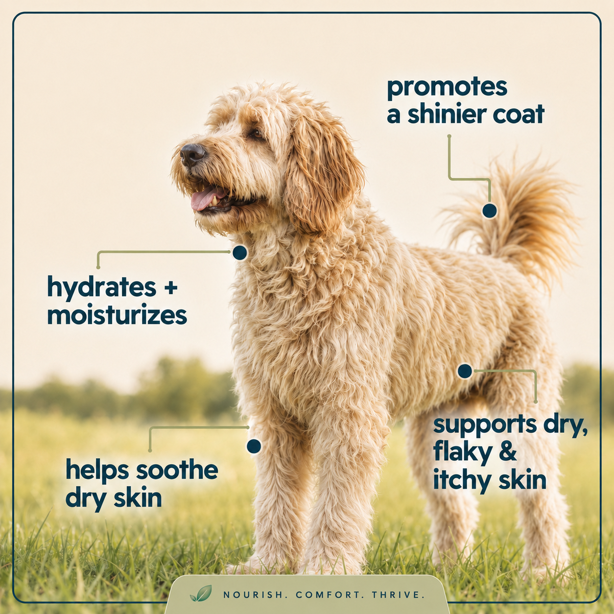Liquid Collagen for Dogs