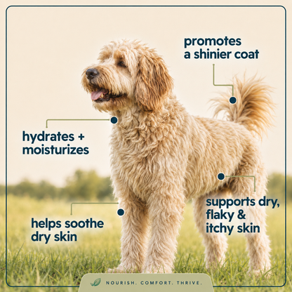 Liquid Collagen for Dogs