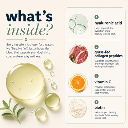 Liquid Collagen for Dogs