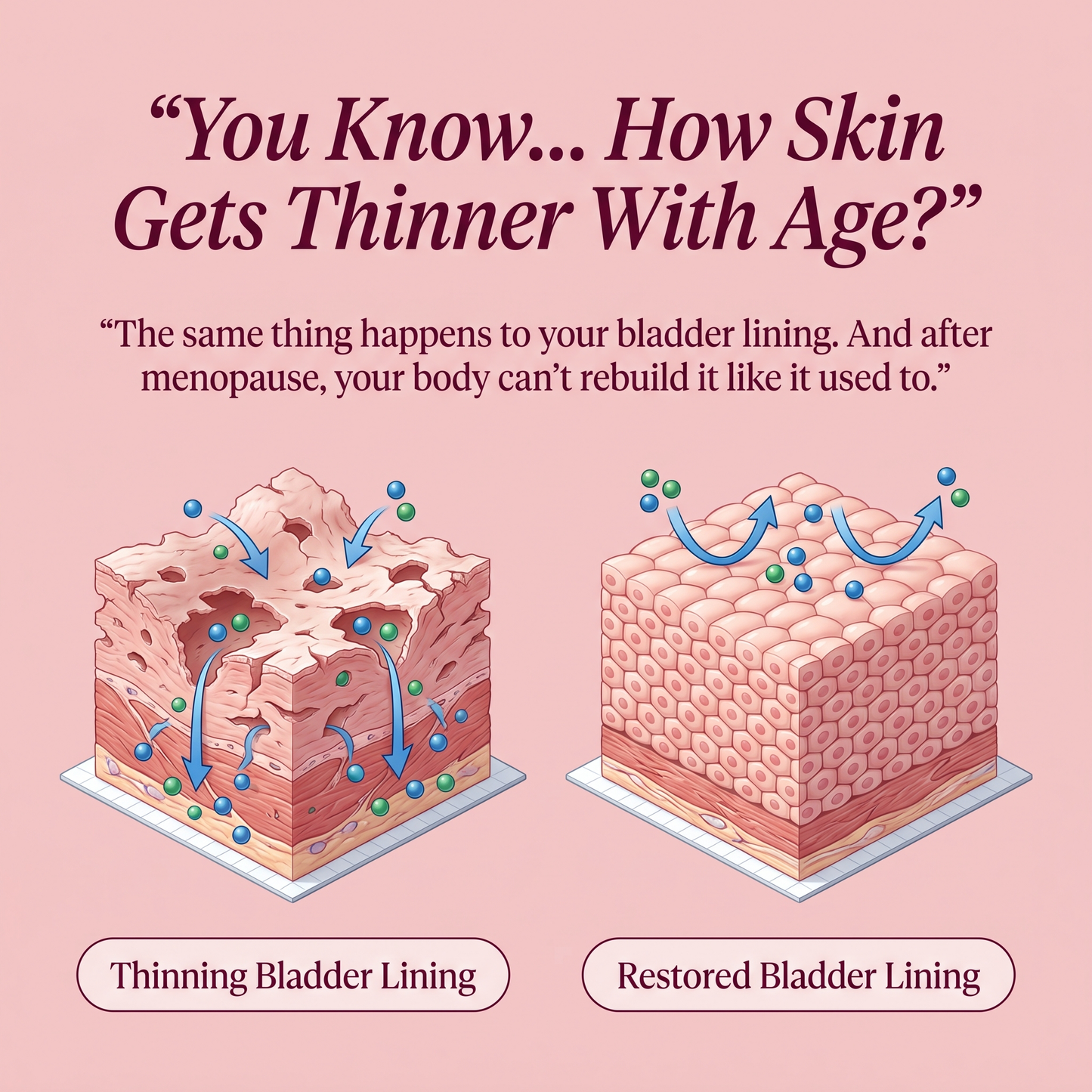 TryCure™ Bladder Control