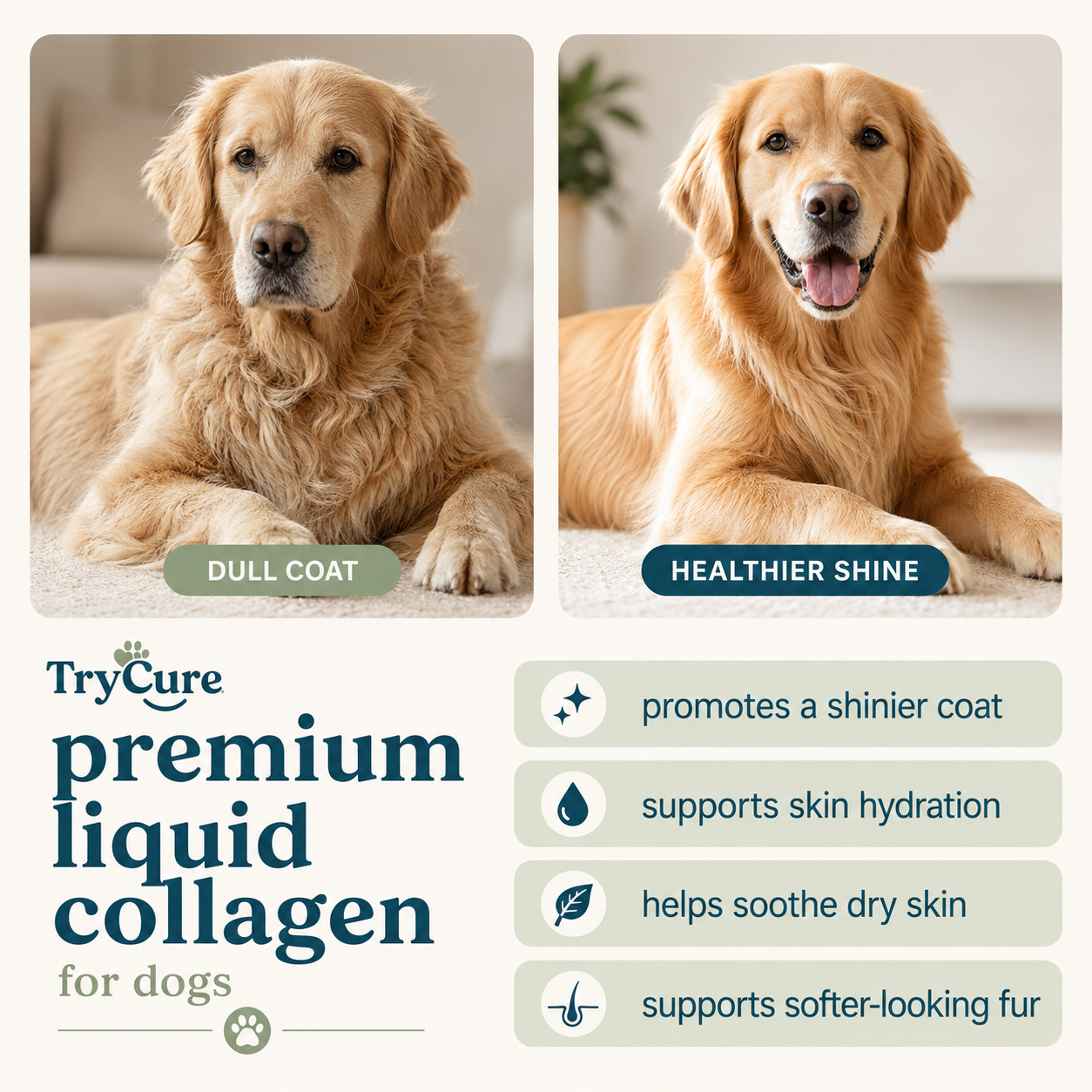 Liquid Collagen for Dogs