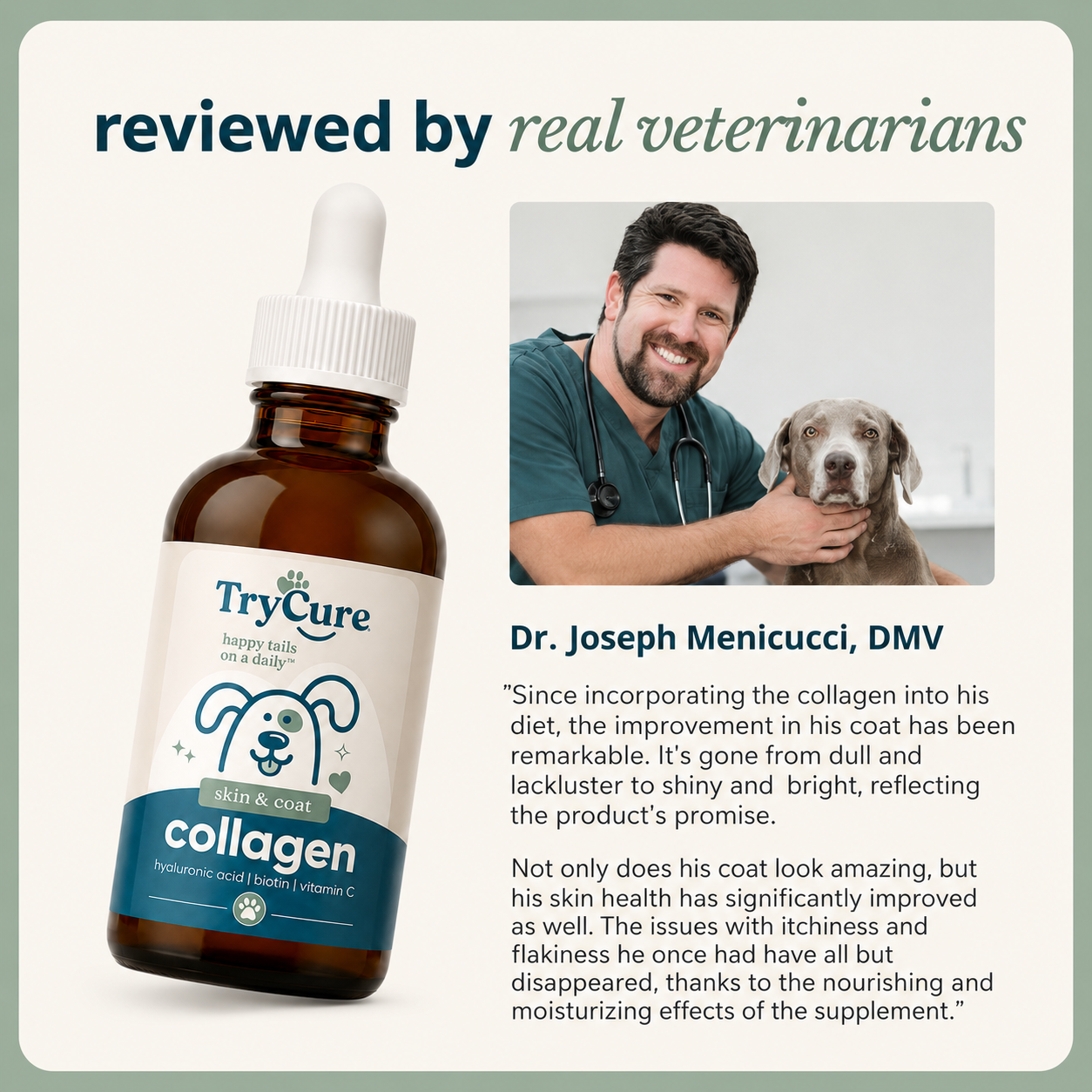 Liquid Collagen for Dogs
