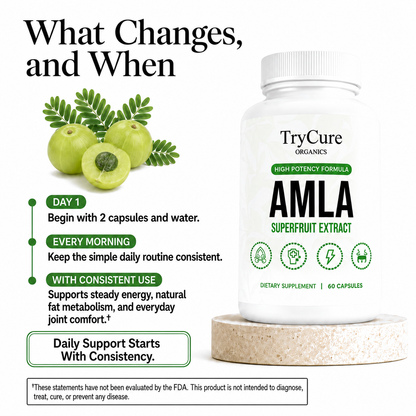 TryCure® Amla Superfruit Extract product carousel image 3 of 7: what changes.