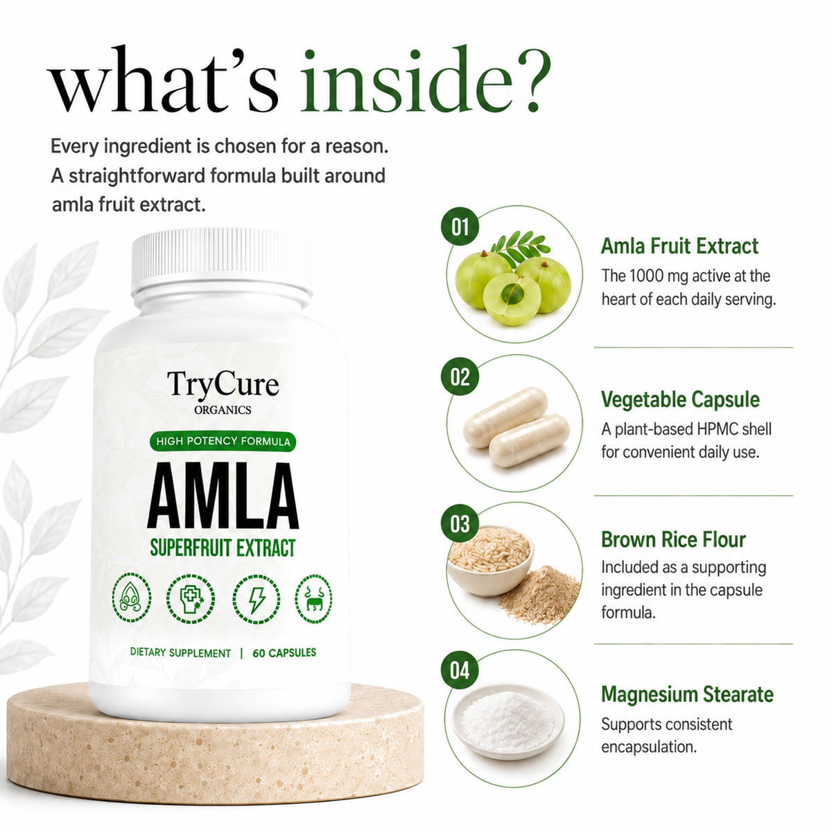 TryCure® Amla Superfruit Extract product carousel image 4 of 7: ingredients.