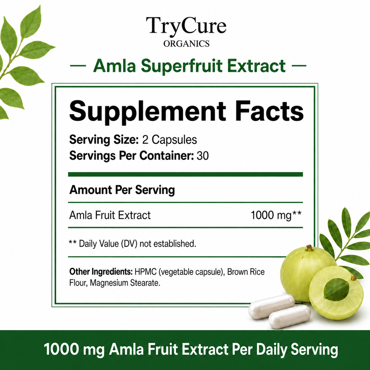 TryCure® Amla Superfruit Extract product carousel image 6 of 7: supplement facts.