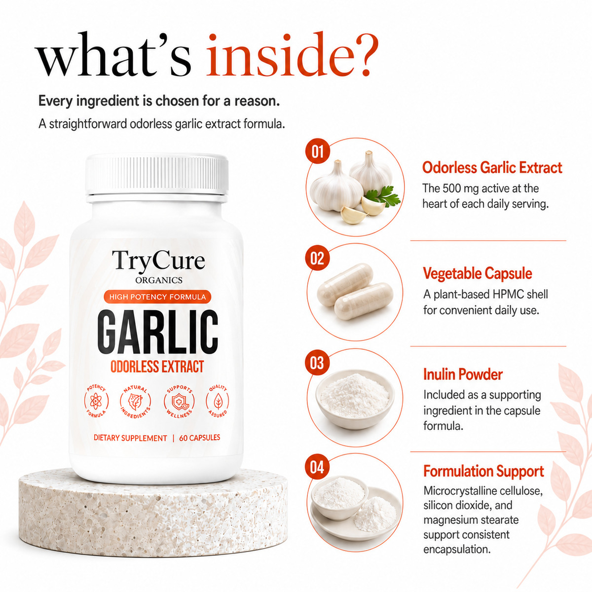 TryCure® Odorless Garlic Extract product carousel image 4 of 7: ingredients.
