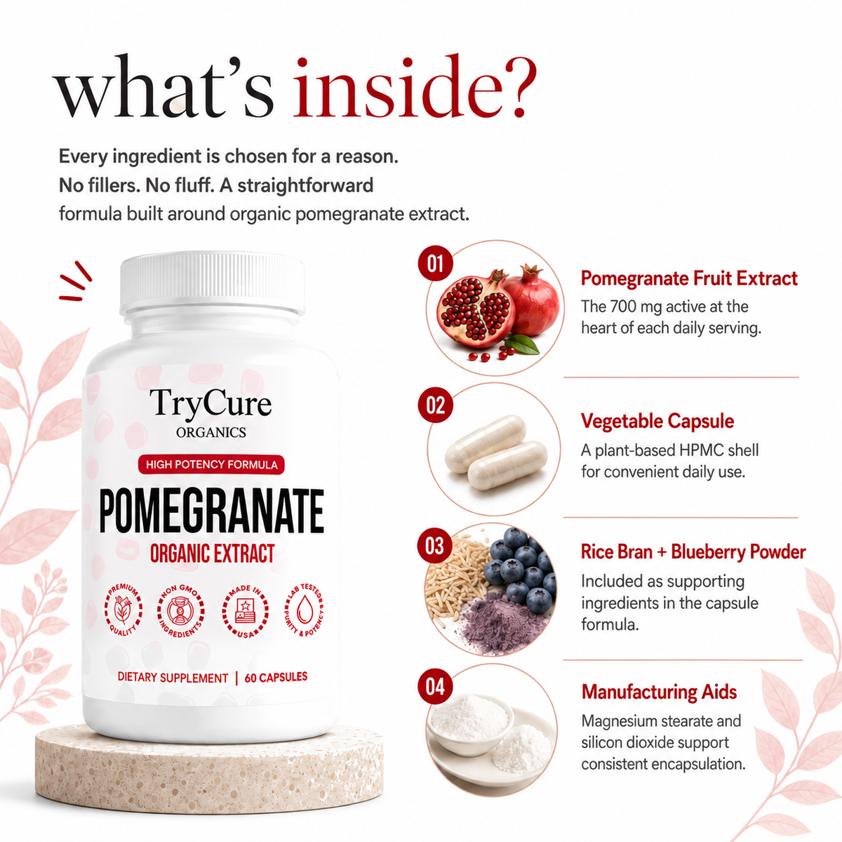 TryCure® Pomegranate Extract product carousel image 4 of 7: ingredients.
